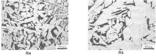 籃式過濾器法蘭 籃式過濾器法蘭